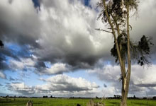 问鼎体育：[高尔夫]希尔顿分时度假冠军赛金阿林领先 张斯洋T4科达T14.